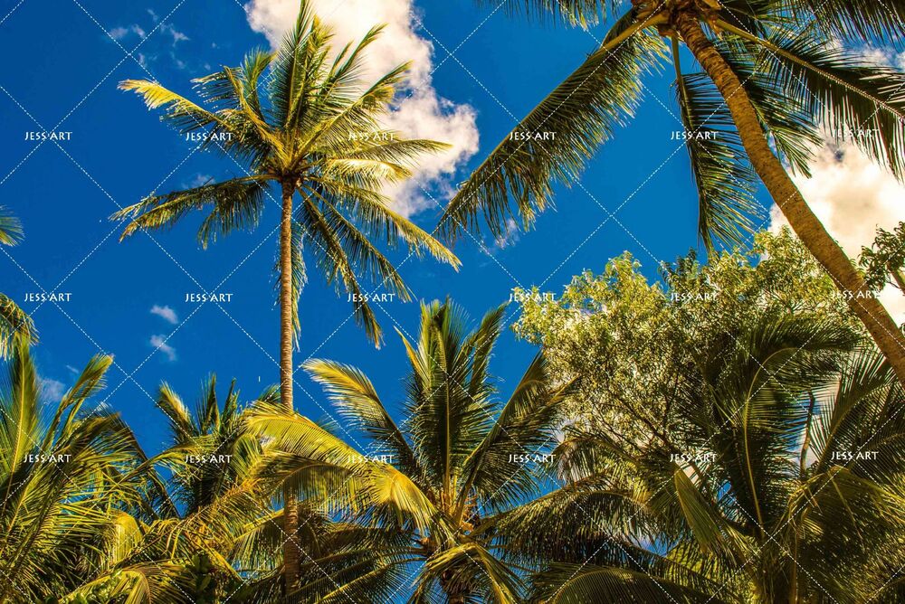 3D Blue Sky Coconut Tree Bedding Set Bedroom Decor 3d blue sky coconut tree bedding set bedroom decor 5790 scaled