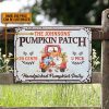 Autumn Farm Pumpkins Patch