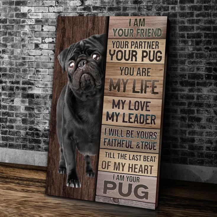 Cute Pug Dog Canvas