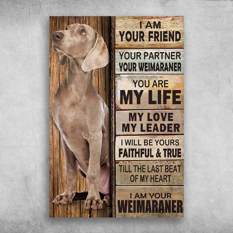 Cute Weimaraner Dog Canvas