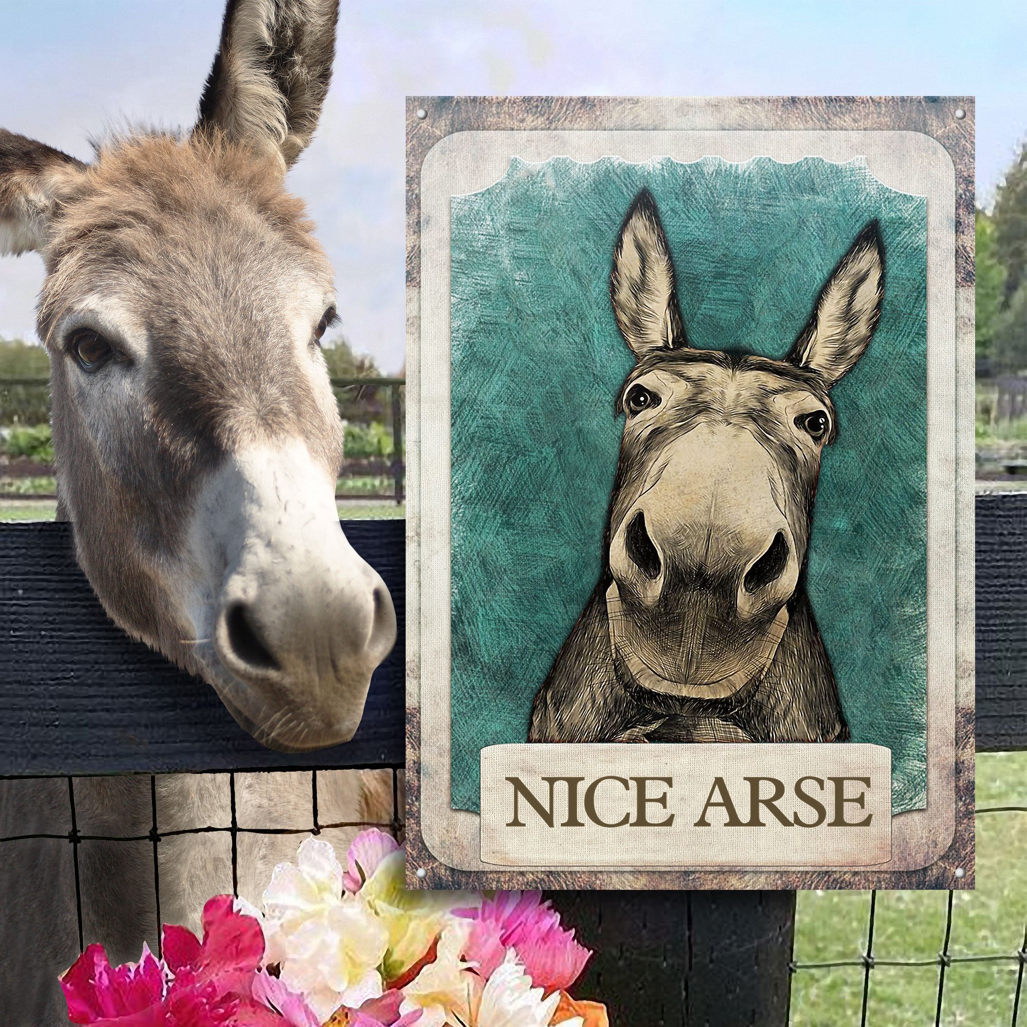 Donkey Nice Arse Customized Classic Metal Signs