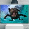 Funny Dog Canvas