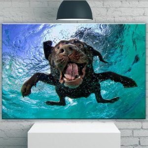 Funny Dog Canvas