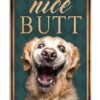 Golden Retriever Canvas