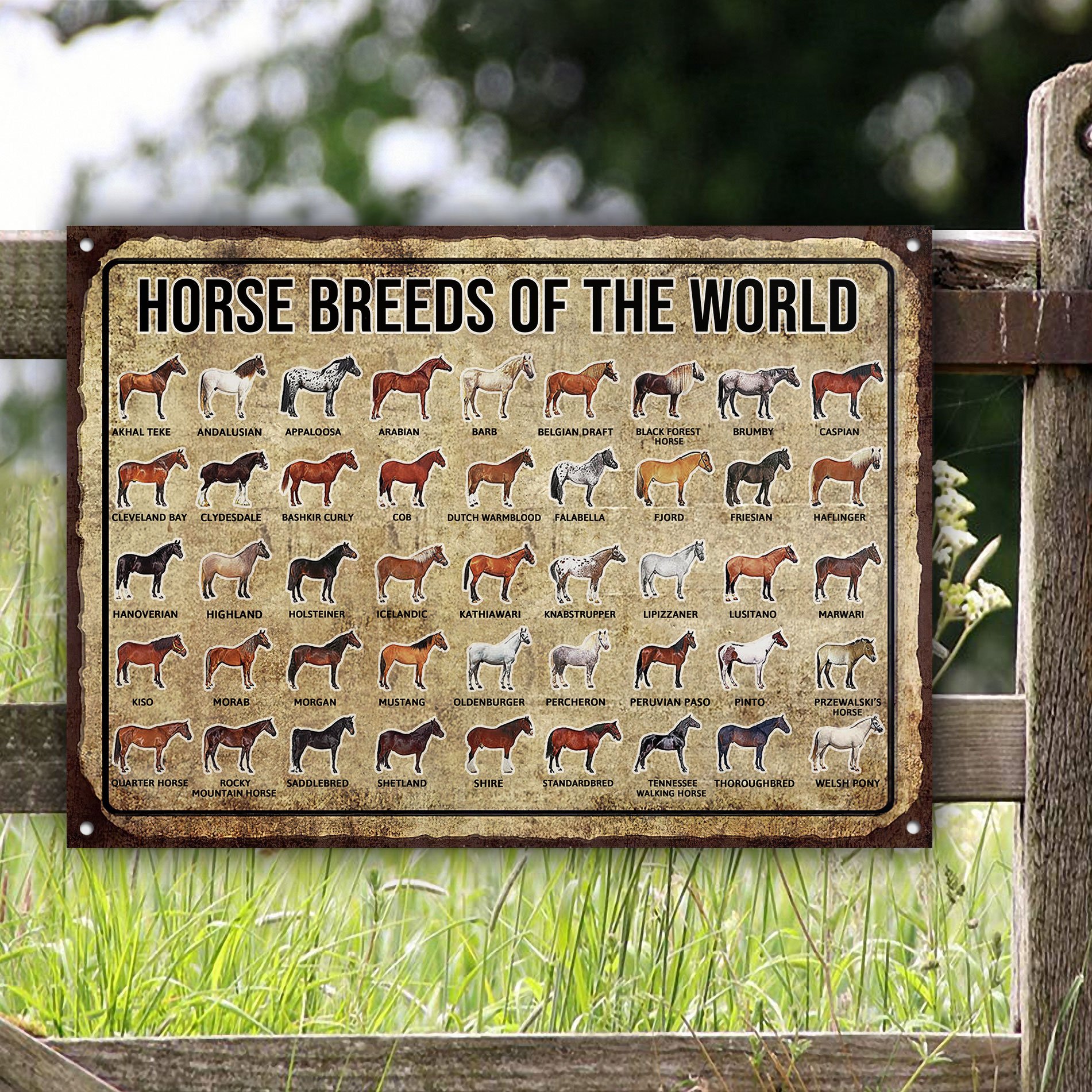 Horse Breeds Of The World Customized Classic Metal Signs