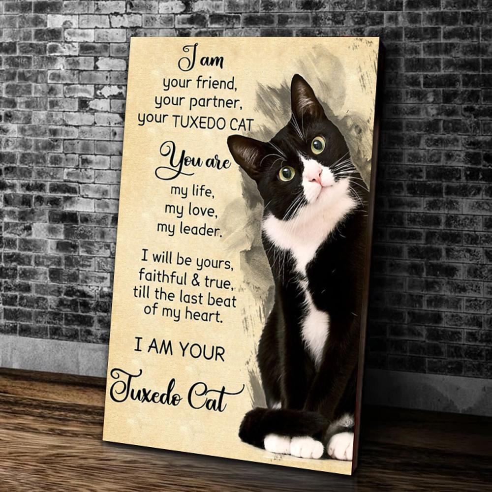 I Am Your Friend, Your Partner, Your Tuxedo Cat Canvas Prints