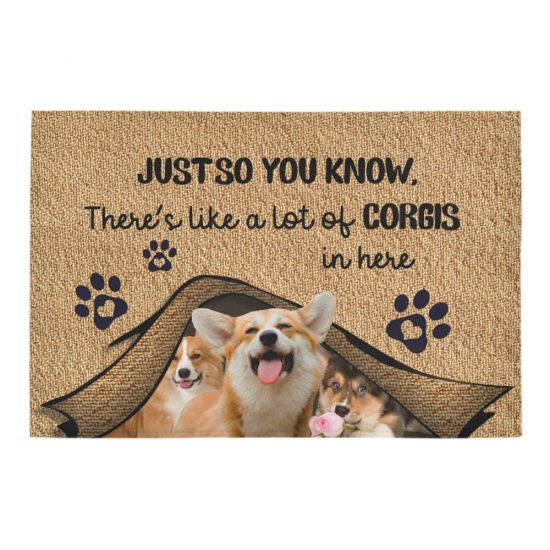 Just So You Know Corgis Dog Lover Doormat Welcome Mat 1