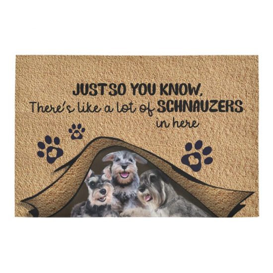 Just So You Know Schnauzers Dog Lover Doormat Welcome Mat 1