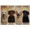 Labrador Dog Canvas