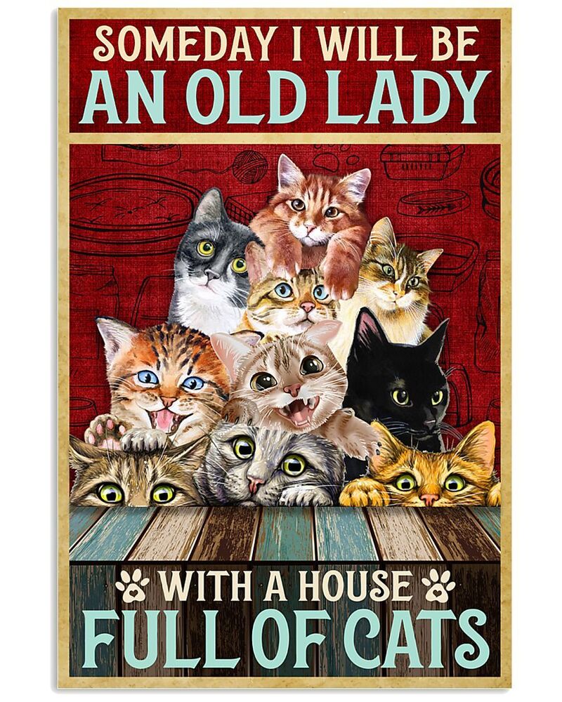 Old Lady - With A House Full Of Cats Canvas Prints Wall Art Decor