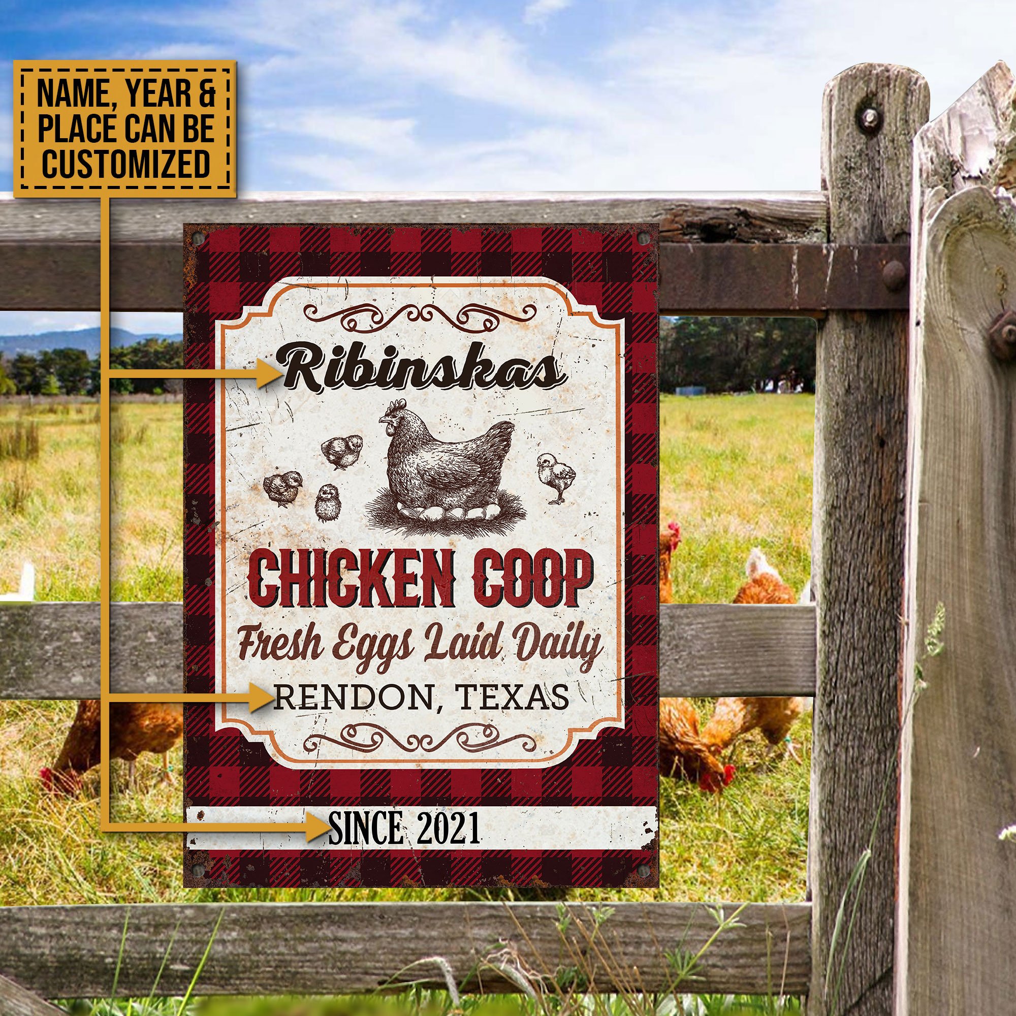 Personalized Chick Chicken Coop Fresh Eggs Laid Daily Customized Classic Metal Signs