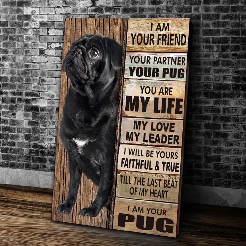Pug Dog Canvas