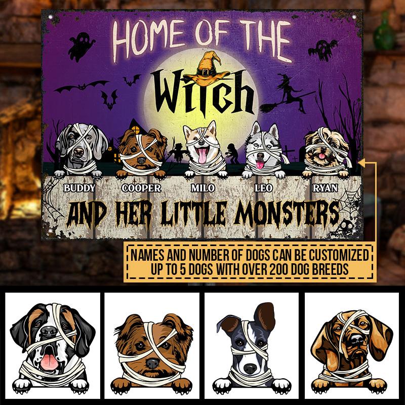 The Witch And Her Little Monsters Custom Classic Metal Signs