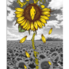 Veterans Sunflower Canvas Wall Art You Are My Sunshine Canvas Prints Wall Art Decor