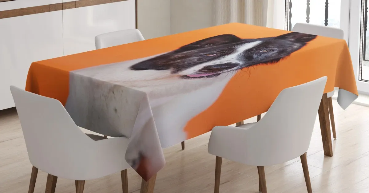 akita on orange 3d printed tablecloth table decor 5936