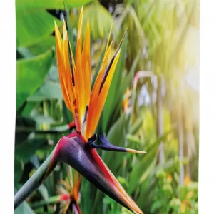 Bird Of Paradise Flower 3D Printed Tablecloth Table Decor 1 bird of paradise flower 3d printed tablecloth table decor 2611