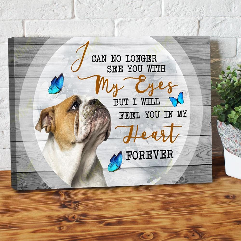 butterfly boxer canvas prints wall art decor 4380