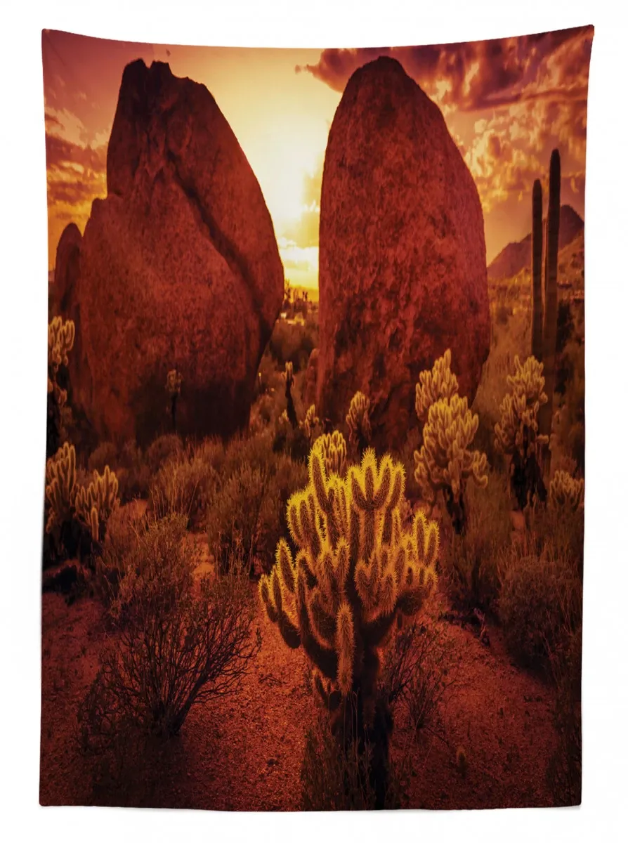 cactus rocks desert scenery 3d printed tablecloth table decor 8858