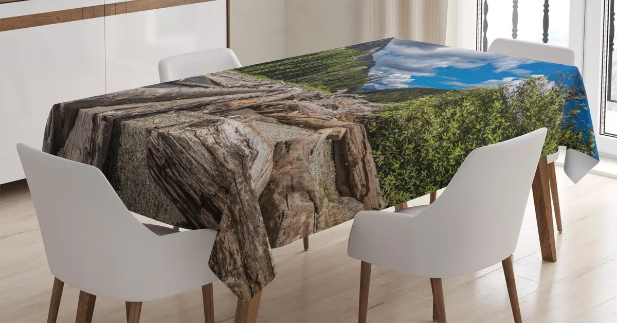 cloudy sky and trees 3d printed tablecloth table decor 4289