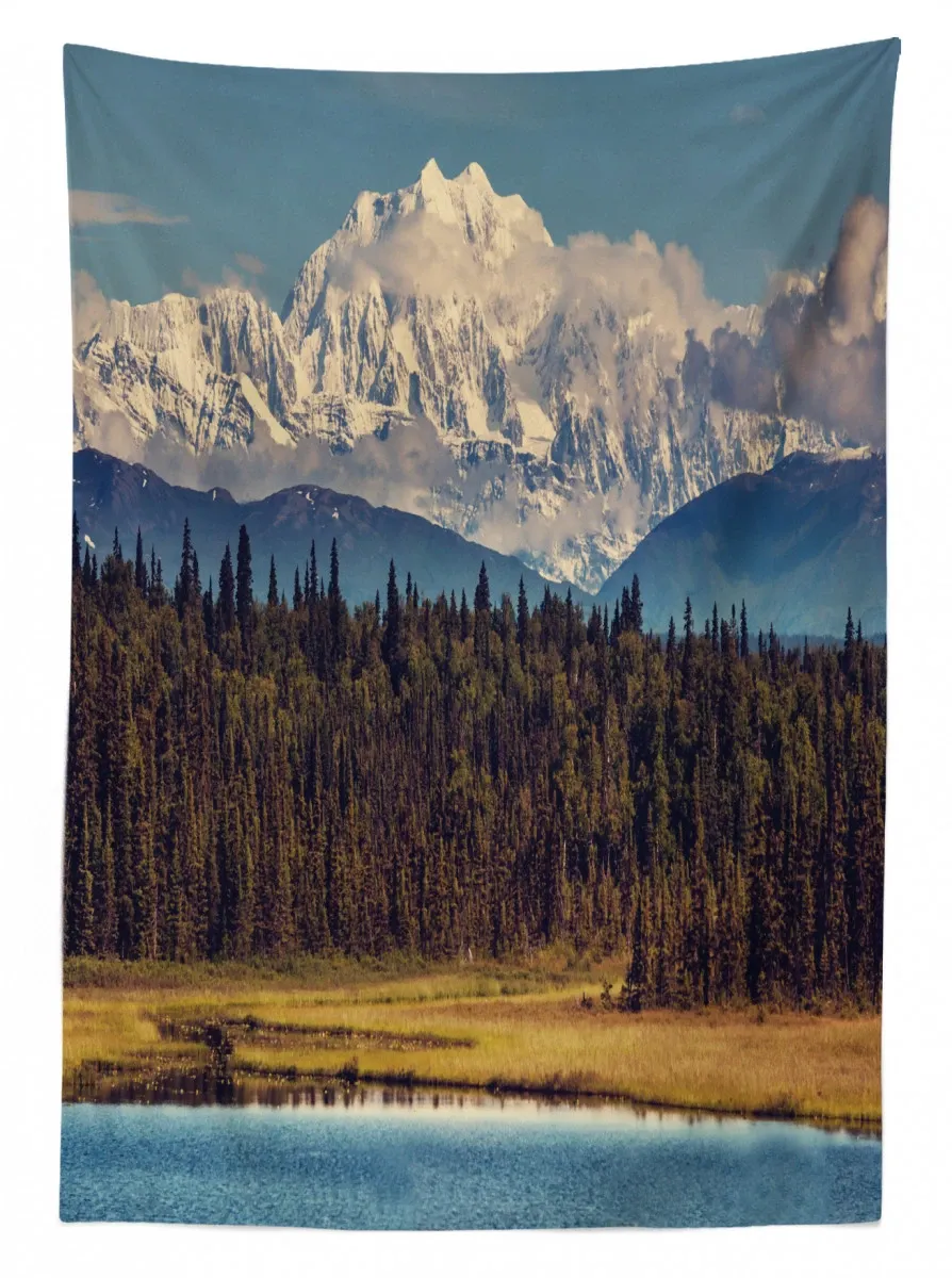 colorful north summer 3d printed tablecloth table decor 7980