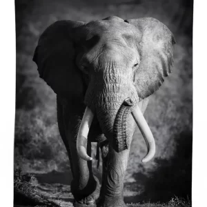 exotic wildlife elephant 3d printed tablecloth table decor 2736