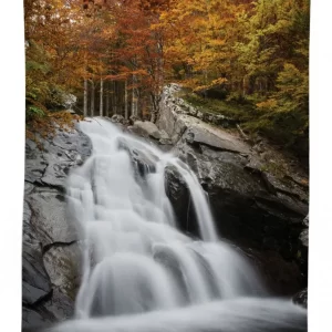 fall trees with lake 3d printed tablecloth table decor 1710