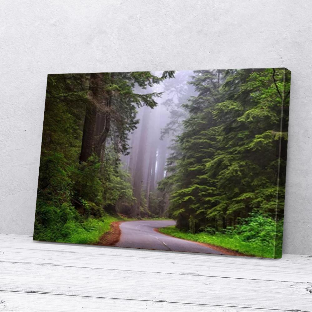 foggy forest canvas prints wall art decor 1773