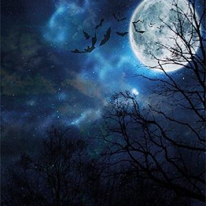 halloween bats flying in majestic night sky moon duvet cover bedding set bedroom decor 3670