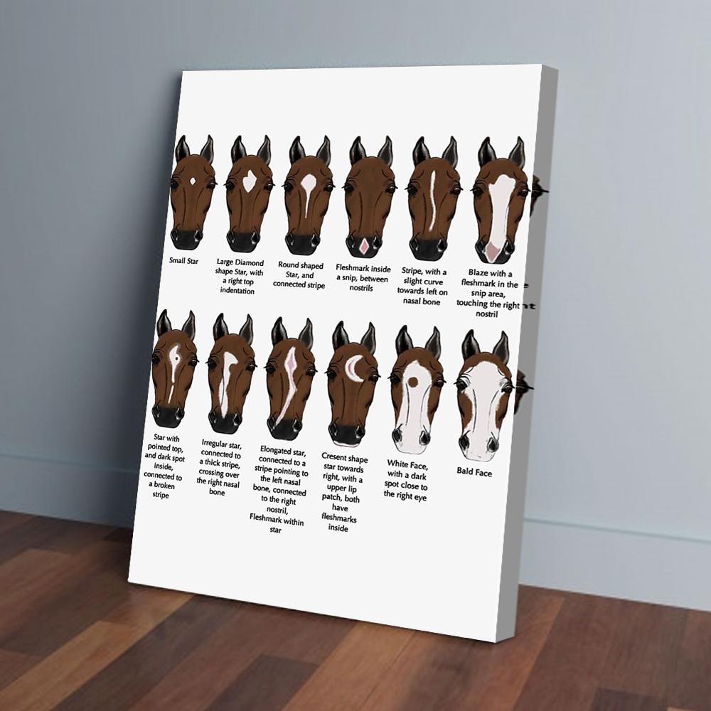 Horse Face Canvas Prints Wall Art Decor Teehall