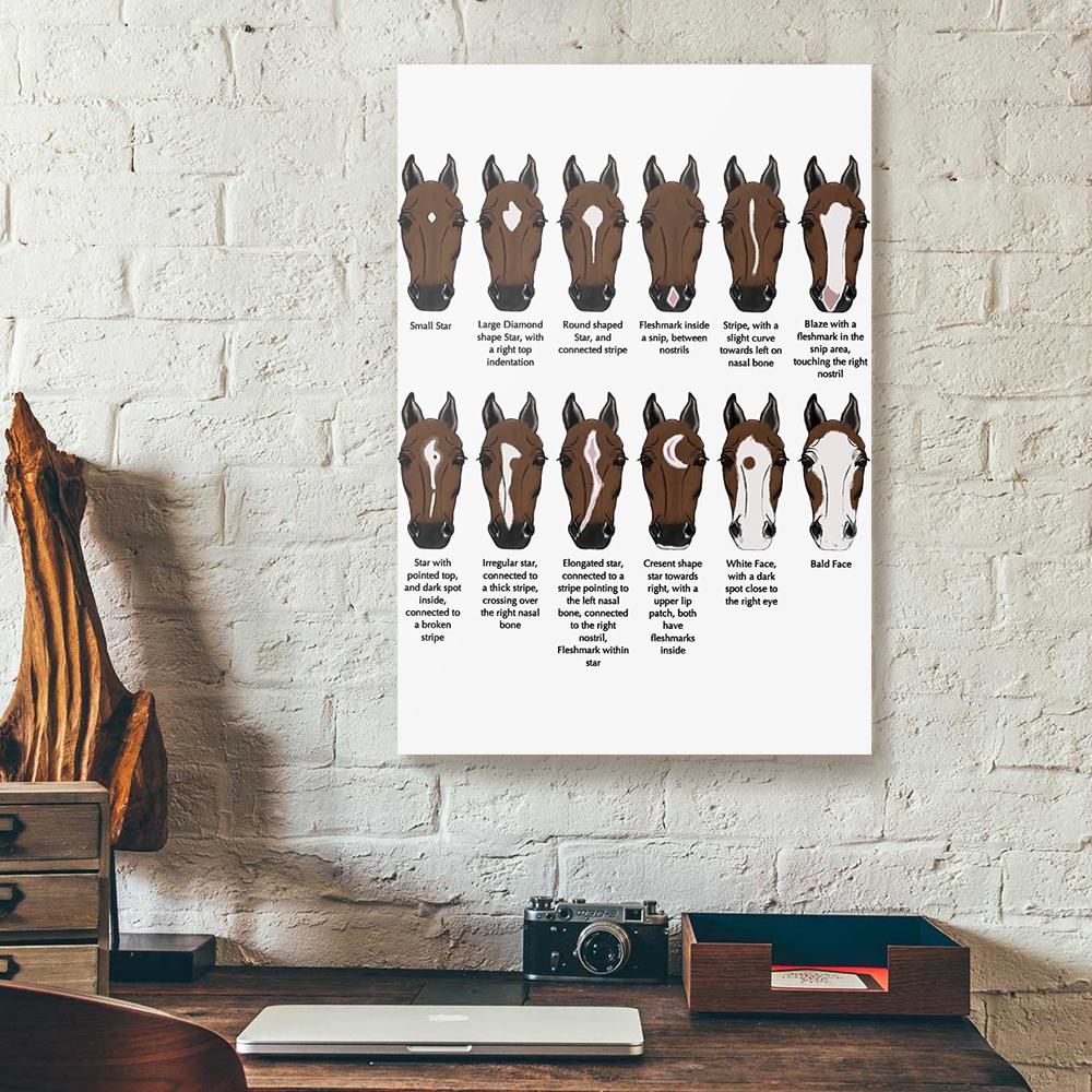 Horse Face Canvas Prints Wall Art Decor Teehall