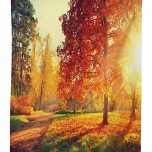misty day in the forest 3d printed tablecloth table decor 1681