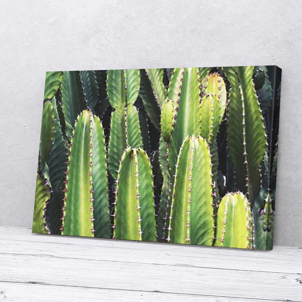 multiple cactus plant canvas prints wall art decor 7794