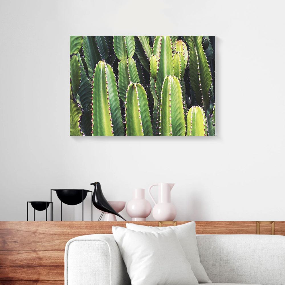 multiple cactus plant canvas prints wall art decor 7795