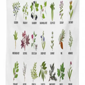 natural treatment infographic 3d printed tablecloth table decor 6418