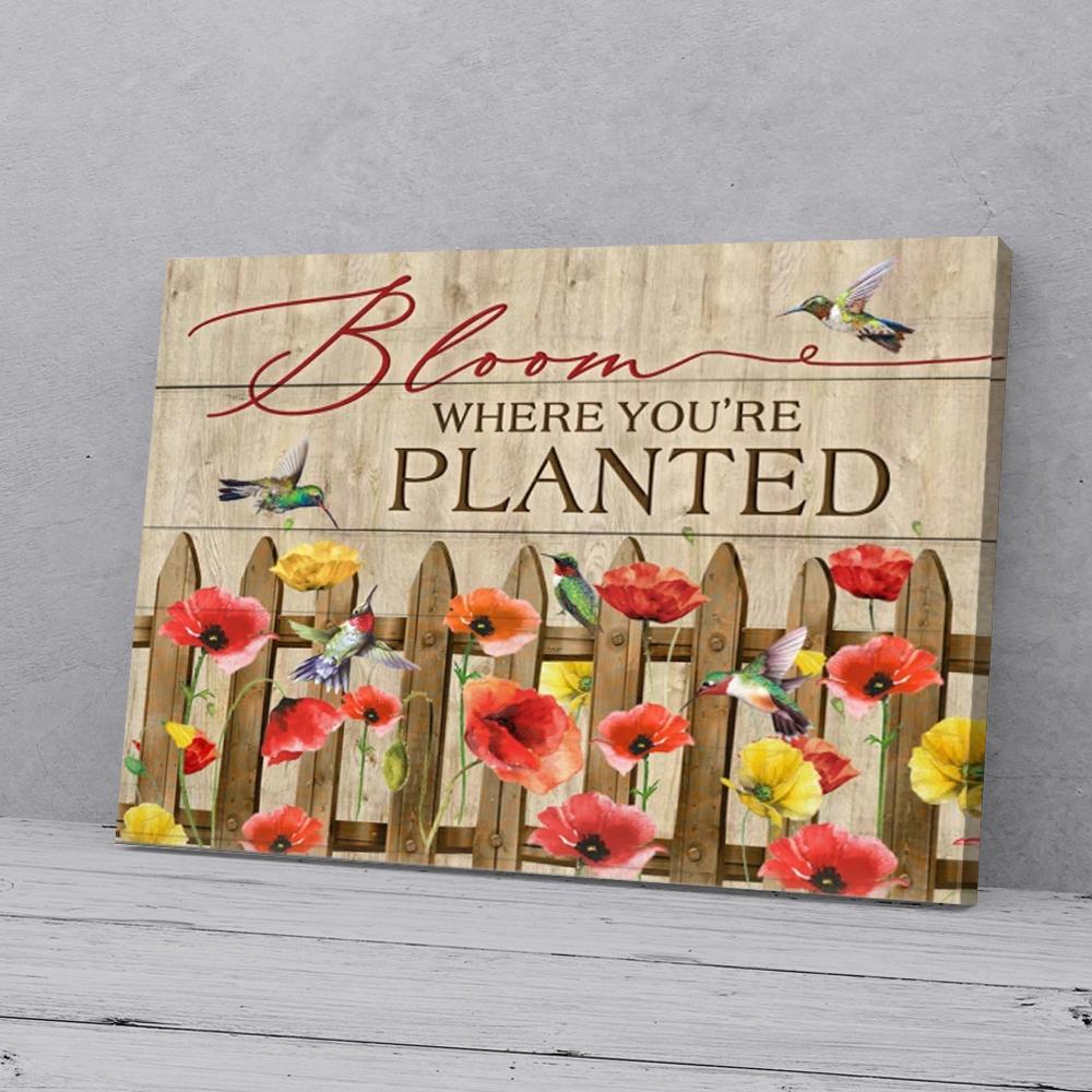 poppy hummingbird canvas prints wall art decor 8550