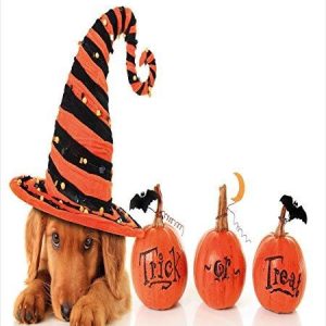 Puppy Wearing A Witch Hat Trick Or Treat Duvet Cover Bedding Set Bedroom Decor 1 puppy wearing a witch hat trick or treat duvet cover bedding set bedroom decor 8738