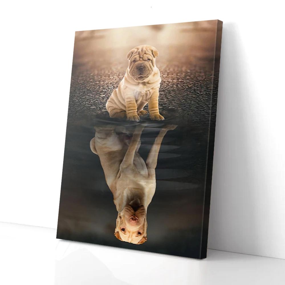 Reflection Of Shar Pei Canvas Prints - Wall Art Decor reflection of shar pei canvas prints wall art decor 1861
