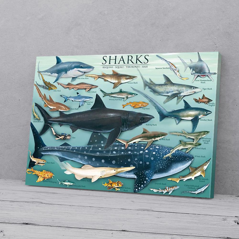 sharks canvas prints wall art decor 4167