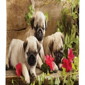 sibling puppies flowers 3d printed tablecloth table decor 2746