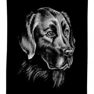 sketch art retriever puppy 3d printed tablecloth table decor 6338