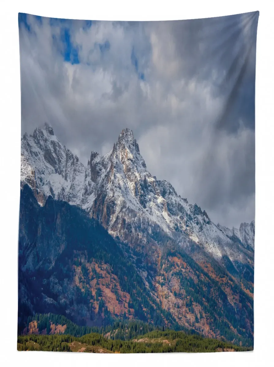 snowy scene grand teton 3d printed tablecloth table decor 7594