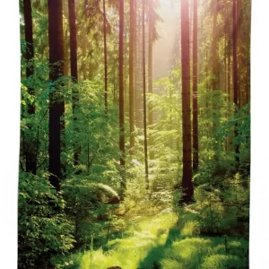 sunset moss woods trees 3d printed tablecloth table decor 4917