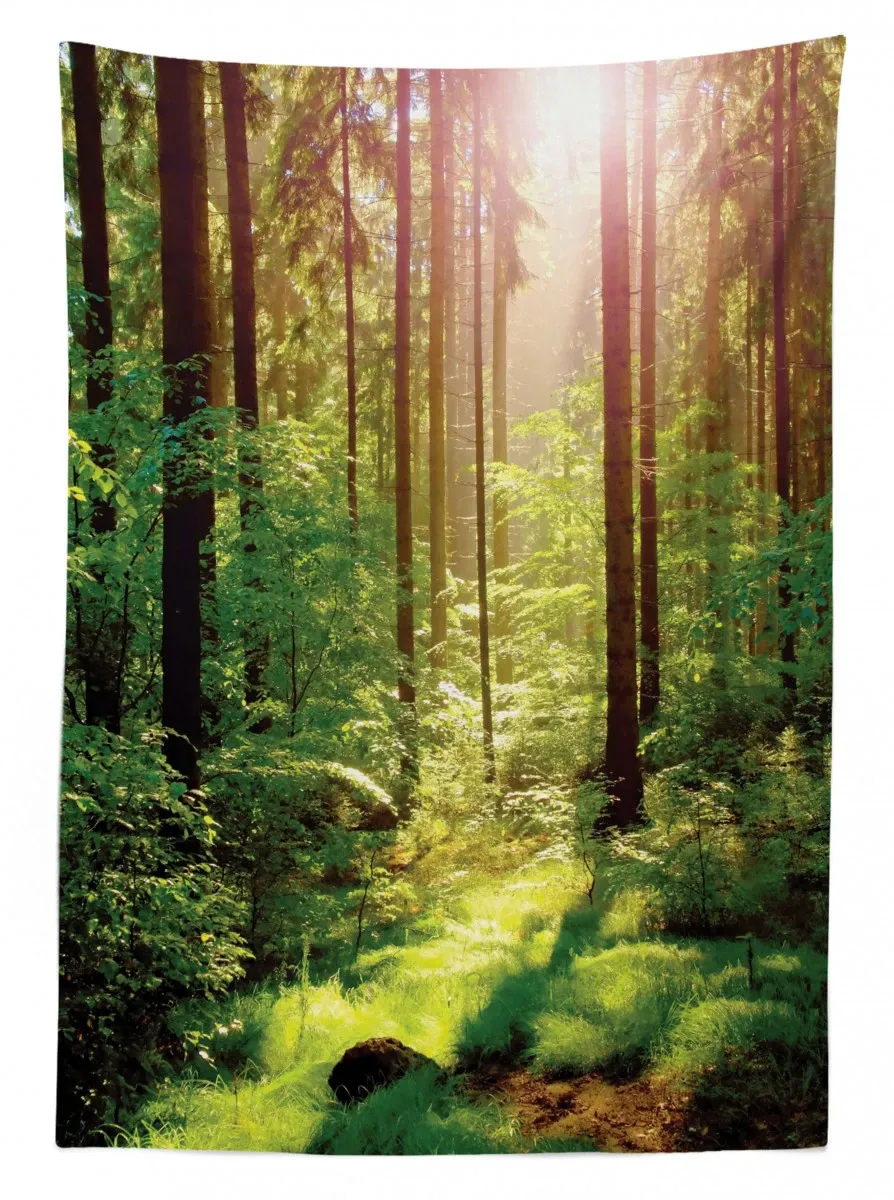 sunset moss woods trees 3d printed tablecloth table decor 4917