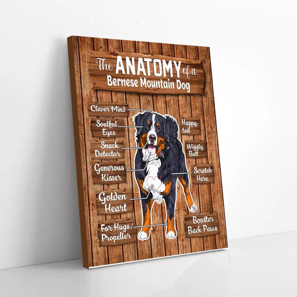 the anatomy of a bernese mountain dog canvas prints wall art decor 5032