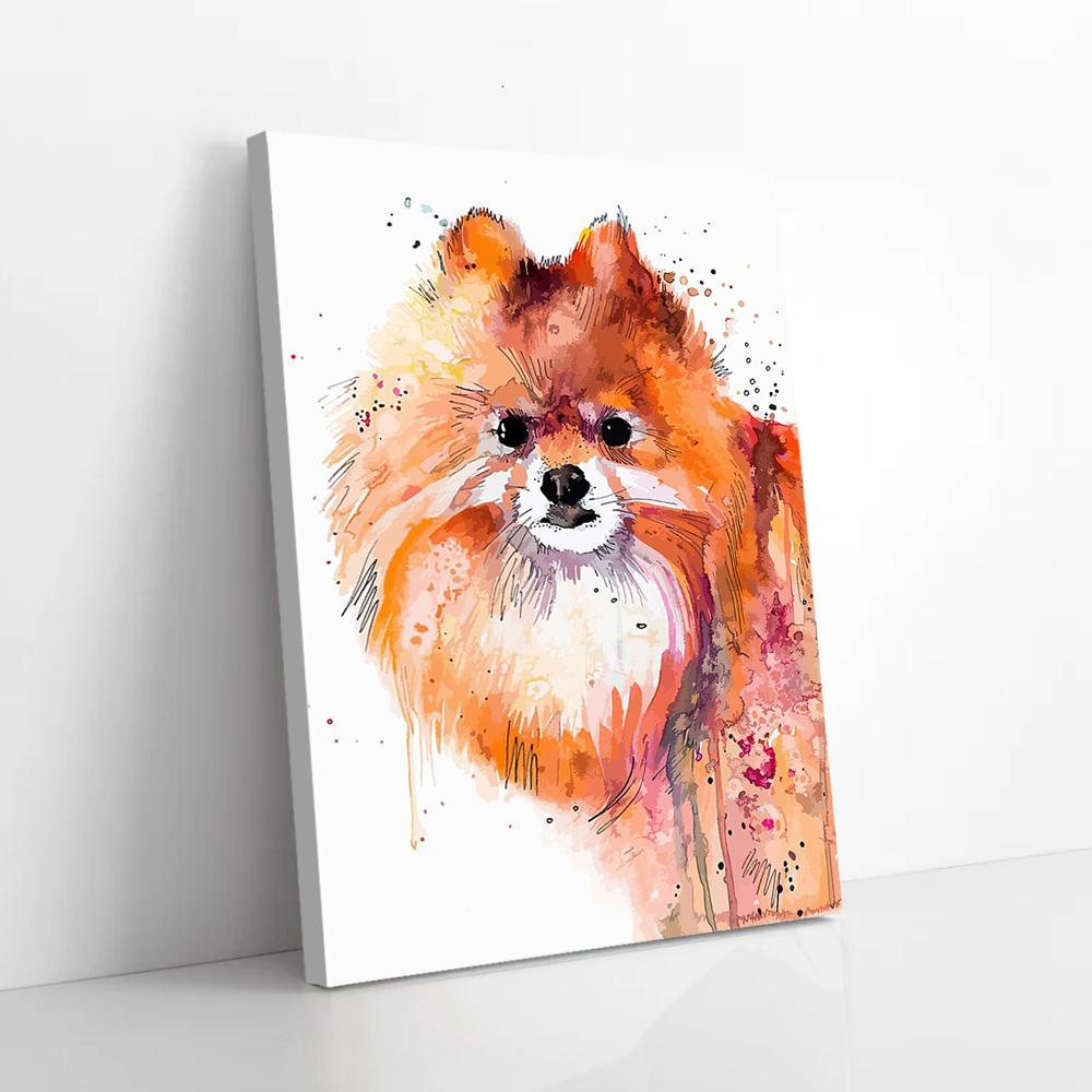 watercolor pomeranian canvas prints wall art decor 6948
