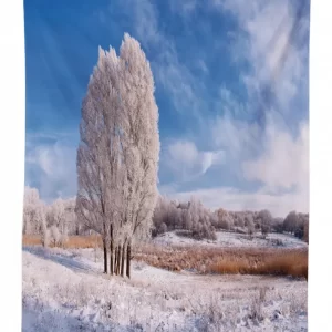 winter snow landscape 3d printed tablecloth table decor 6045