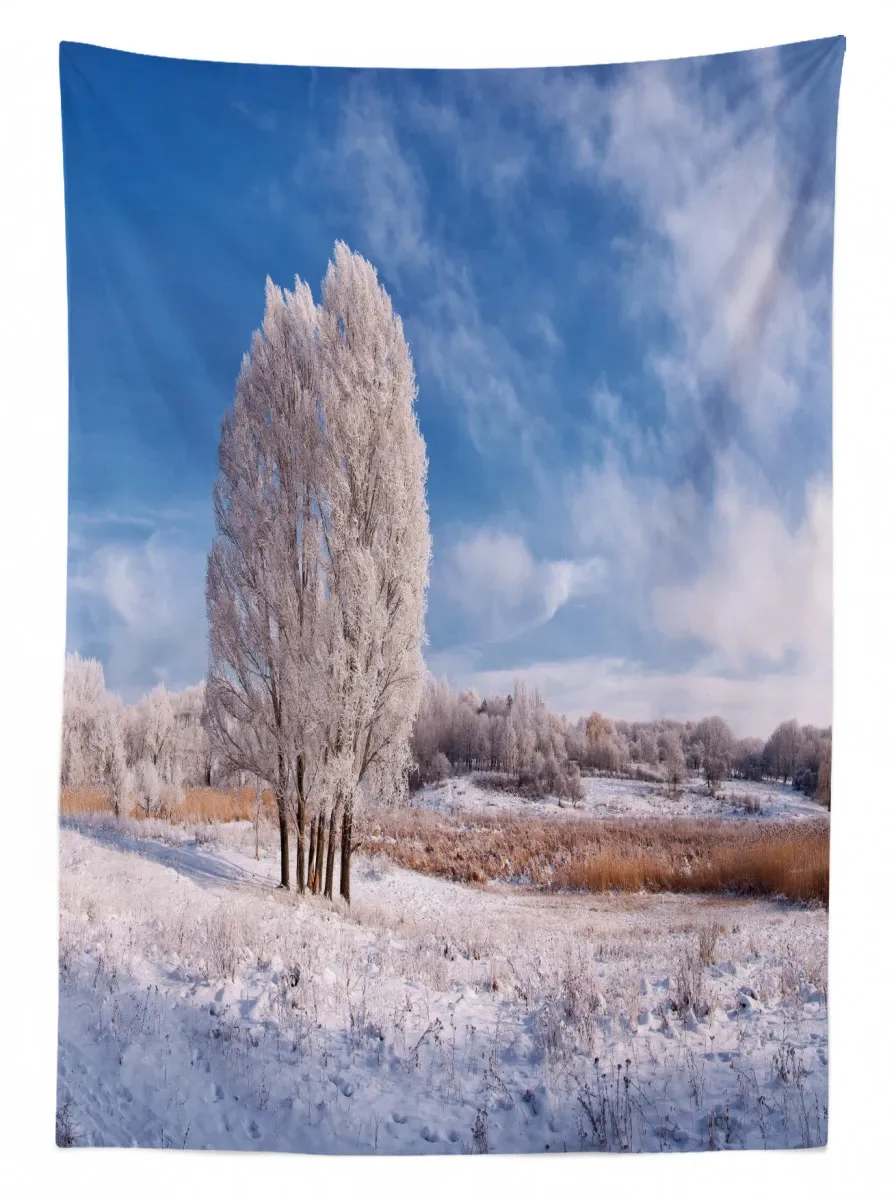 winter snow landscape 3d printed tablecloth table decor 6045