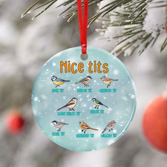 Nice Tits. Watching Small Birding Christmas Ceramic Ornament 4