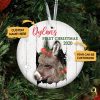 Personalized Donkey Baby's First Christmas Round Ornament