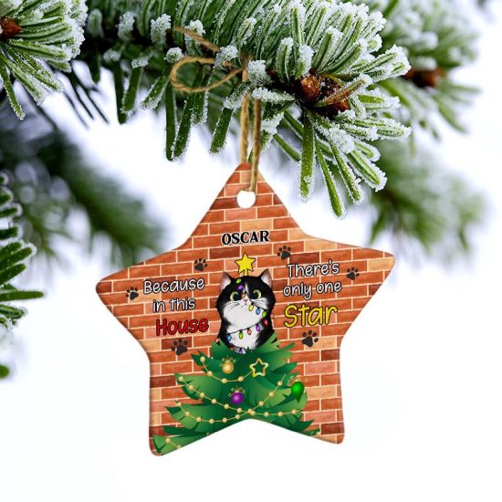 Theres Only One Star Christmas Gift For Cat Lovers Personalized Custom Star Ceramic Ornament 2